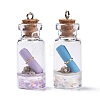 Glass Wishing Bottle Pendant Decorations X-GLAA-S181-02-3