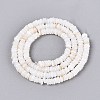 Natural Freshwater Shell Beads Strands SHEL-Q028-01-3