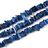 Natural Freshwater Shell Beads Strands SHEL-T020-40C-1