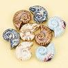Handmade Porcelain Beads PORC-S498-32-1