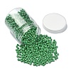 1300Pcs 6/0 Glass Seed Beads SEED-YW0002-19B-1