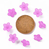 Transparent Acrylic Beads PL554-17-4