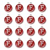 Platinum Plated Alloy Enamel Charms ENAM-S118-03F-P-2