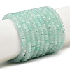 Natural Amazonite Beads Strands G-P612-A03-01-2