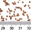 FGB 11/0 Grade A Baking Paint Glass Seed Beads X-SEED-S030-1146-4