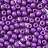 6/0 Glass Seed Beads SEED-S058-A-F454-3