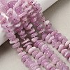 Natural Kunzite Beads Strands G-L649-C04-01-1