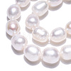 Natural Cultured Freshwater Pearl Beads Strands PEAR-N012-06V-5