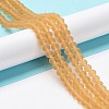 Transparent Glass Beads Strands EGLA-A034-T10mm-MD23-2