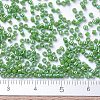 MIYUKI Delica Beads Small X-SEED-J020-DBS0163-4