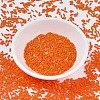 MIYUKI Quarter TILA Beads SEED-MY05-QTL0406-2