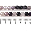 Natural Purple Fluorite Beads Strands G-P530-B08-03-5