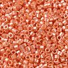 Baking Paint Glass Seed Beads SEED-S042-15A-03-3