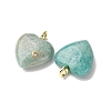 Natural Amazonite Pendants G-P588-01G-07-2