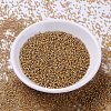 MIYUKI Delica Beads SEED-J020-DB2043-2