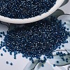 MIYUKI Delica Beads SEED-X0054-DB1763-1