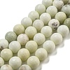 Natural Dendritic Jasper Beads Strands G-E571-A05-03-1