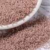 MIYUKI Round Rocailles Beads X-SEED-G009-RRHB279-1