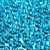 FGB Transparent Glass Seed Beads SEED-N013-01C-10-4