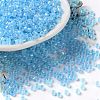 Glass Seed Beads X-SEED-S042-13A-13-1