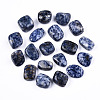 Natural Blue Spot Jasper Beads G-N332-014-1