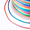 Segment Dyed Nylon Thread LW-K002-1mm-000-3