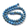 Synthetic Gold Line Turquoise Beads Strands G-A255-A03-01A-2