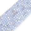 Natural Blue Lace Agate Beads Strands G-K366-B02-02-2