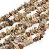Natural Shoushan Stone Beads Strands G-L647-B01-01-2