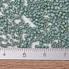 MIYUKI Delica Beads X-SEED-J020-DB2313-4