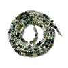 Natural Moss Agate Beads Strands G-A129-2mm-01A-5