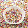 Baking Paint Glass Seed Beads X-SEED-S042-05B-50-2