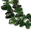 Natural Green Diopside Beads Strands G-L649-B01-01-4