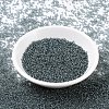 MIYUKI Round Rocailles Beads SEED-X0054-RR0178-2