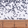 MIYUKI Delica Beads SEED-J020-DB0301-4