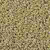 TOHO Round Seed Beads SEED-XTR11-PF0559-2