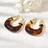 Brass Resin Hoop Earrings EJEW-P333-11D-G02-2