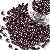 6/0 Glass Seed Beads SEED-US0003-4mm-126-1