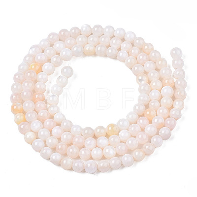 Natural Freshwater Shell Beads Strands X-BSHE-T009A-01B-1