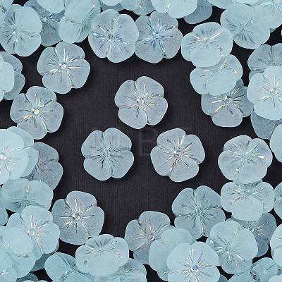 Frosted Transparent Acrylic Beads LS-OACR-P029-19B-06-1