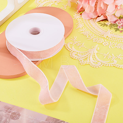 10 Yards Polyester Velvet Ribbon OCOR-TA0004-13B-1