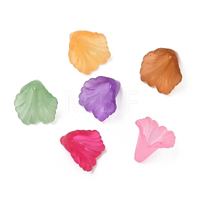 Transparent Acrylic Beads PL622M-1