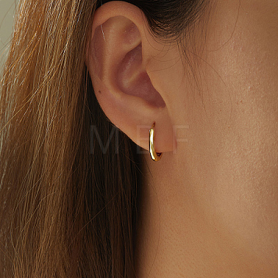 Brass Hoop Earrings LL5070-1