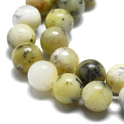 Natural Opal Beads Strands G-I356-A03-02-1