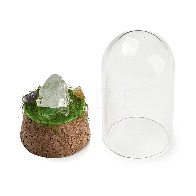 Natural Quartz Crystal Nuggets Display Decoration with Glass Dome Cloche Cover DJEW-B009-03B-1
