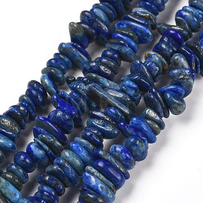 Natural Lapis Lazuli Stone Bead Strands G-R192-13-1