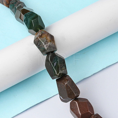 Natural Indian Agate Beads Strands G-F743-04A-1