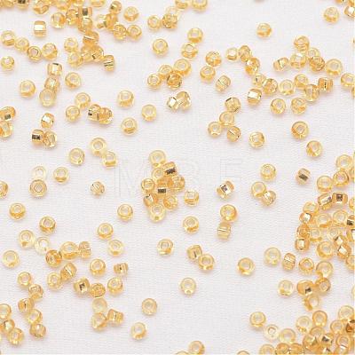 8/0 Round Glass Seed Beads SEED-J018-F8-62-1