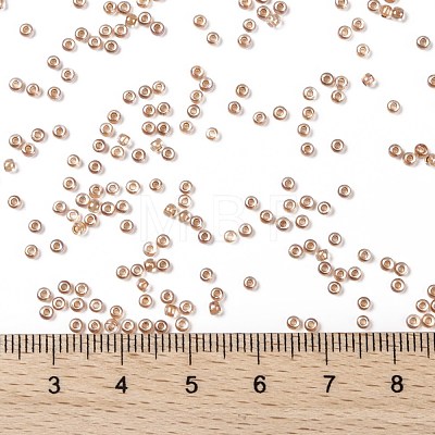 TOHO Round Seed Beads SEED-JPTR11-1855-1