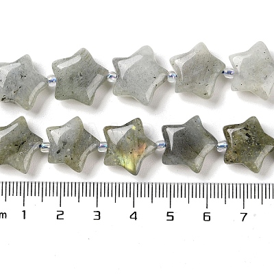 Natural Labradorite Beads Strands G-NH0005-020-1